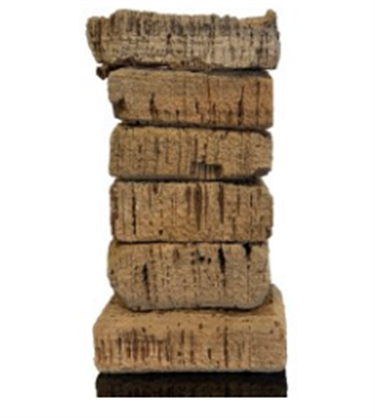 Float Totem. I found it interesting to study these cork blocks and their cross-sections, and contemplate their journey from cork-tree to life-jacket. I learnt more about the properties of cork as I cut some of them up to make the life-jacket sculpture which was then cast as my final bronze piece. Were these blocks harvested from Portland’s historic cork tree, Quercus suber, planted as an acorn in Percy Street in 1875? I found myself looking in a new light at this beautiful old tree and feeling thankful for all that trees provide.